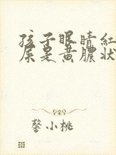 孩子眼睛红有眼屎是黄脓状