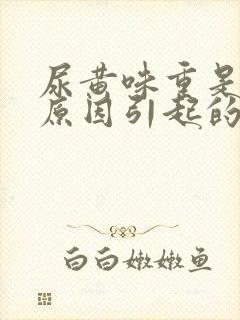 尿黄味重是什么原因引起的