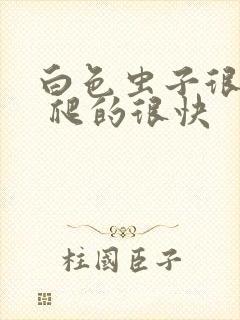 白色虫子很细小 爬的很快