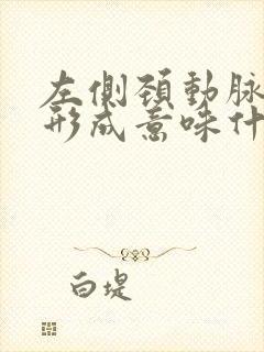 左侧颈动脉斑块形成意味什么