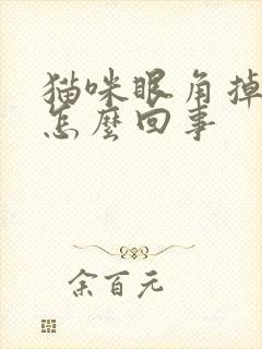 猫咪眼角掉毛是怎么回事