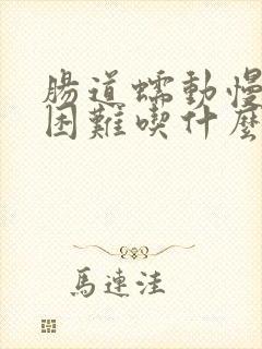 肠道蠕动慢排便困难吃什么药