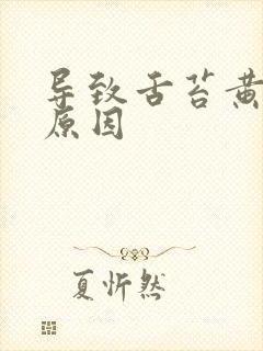 导致舌苔黄腻的原因