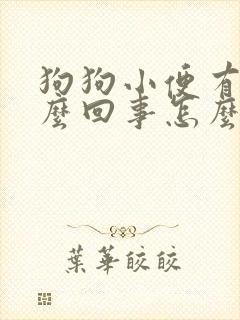 狗狗小便有血怎么回事怎么办