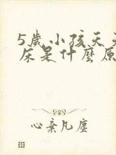 5岁小孩天天尿床是什么原因