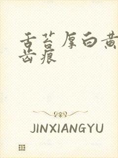 舌苔厚白黄腻有齿痕