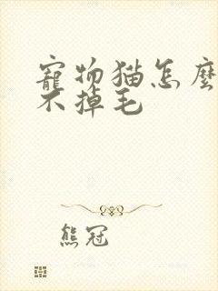 宠物猫怎么才能不掉毛