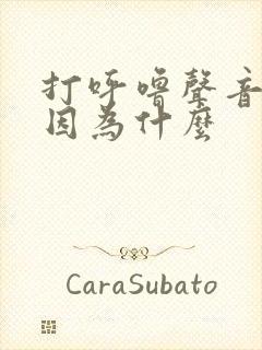 打呼噜声音大是因为什么