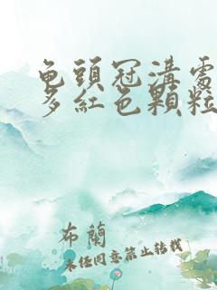 龟头冠沟处有很多红色颗粒