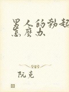 男人的勃起不坚怎么办