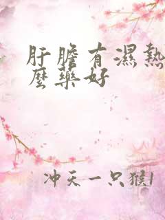 肝胆有湿热吃什么药好