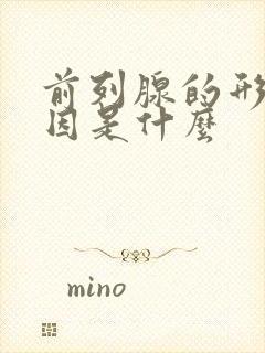 前列腺的形成原因是什么