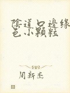 阴道口边缘有白色小颗粒