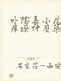 外阴长小疙瘩很痒擦什么药