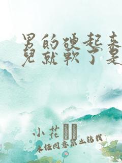 男的硬起来一会儿就软了是怎么回事是