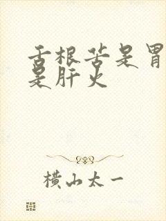 舌根苦是胃火还是肝火