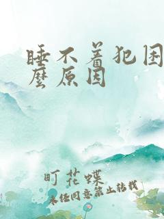 睡不着犯困是什么原因