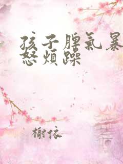 孩子脾气暴躁易怒烦躁