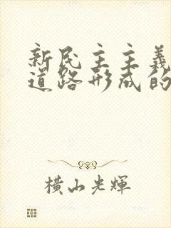 新民主主义革命道路形成的必然性是什么