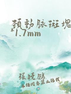 颈动脉斑块11*1.7mm