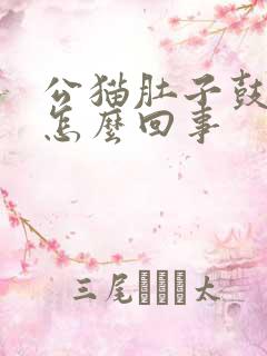 公猫肚子鼓鼓的怎么回事