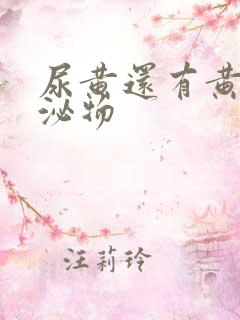 尿黄还有黄色分泌物