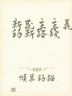 新民主主义革命的新路线