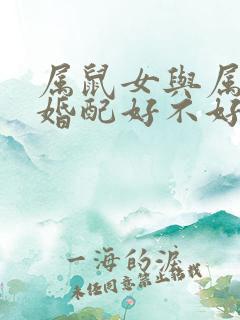 属鼠女与属羊男婚配好不好