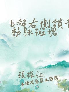 b超右侧锁骨下动脉斑块