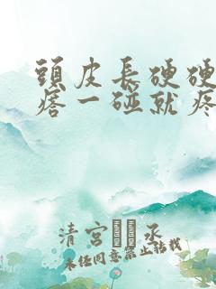 头皮长硬硬的疙瘩一碰就疼