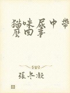 猫咪尿中带血怎么回事