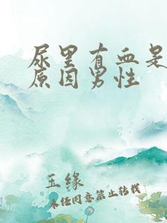 尿里有血是什么原因男性