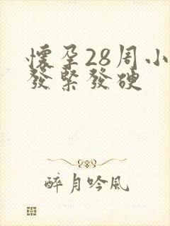 怀孕28周小腹发紧发硬