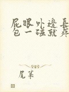 屁眼外边长了个包一碰就疼