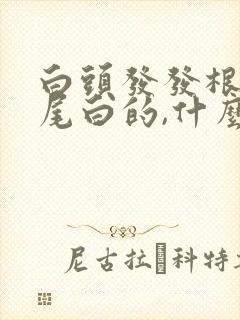 白头发发根黑发尾白的,什么原因