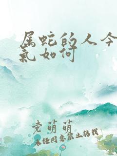 属蛇的人今年运气如何