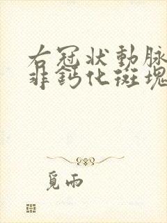 右冠状动脉管壁非钙化斑块,管腔轻度狭窄