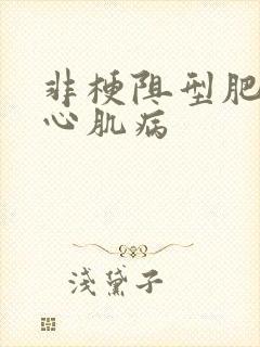 非梗阻型肥厚性心肌病