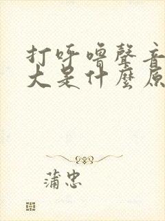 打呼噜声音特别大是什么原因