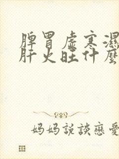 脾胃虚寒湿气重肝火旺什么症状