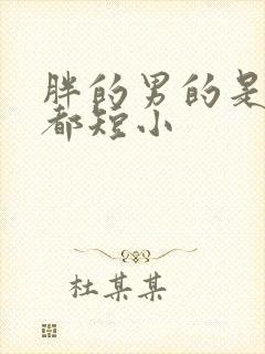 胖的男的是不是都短小