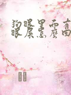 狗眼里面有很多眼屎怎么回事