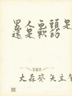 男人龟头是硬的还是软的