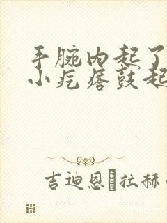 手腕内起了一个小疙瘩鼓起硬硬的