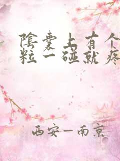 阴囊上有个小肉粒一碰就疼