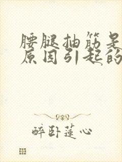 腰腿抽筋是什么原因引起的女性