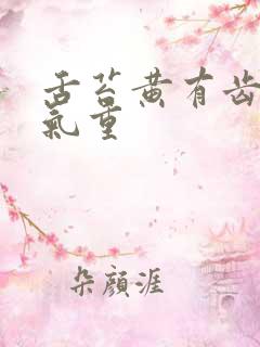 舌苔黄有齿痕湿气重