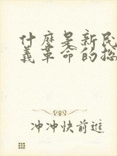 什么是新民主主义革命的总路线?