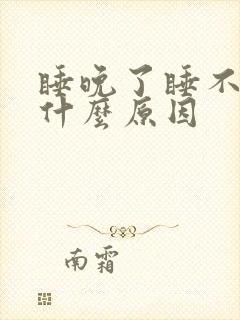 睡晚了睡不着是什么原因