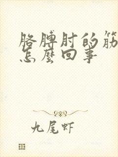 胳膊肘的筋疼是怎么回事